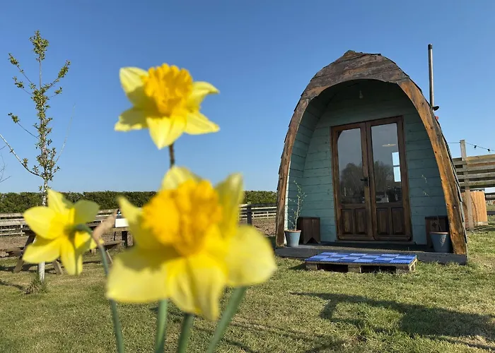 Skipbridge Farm Glamping