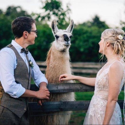 Skipbridge Farm Glamping York