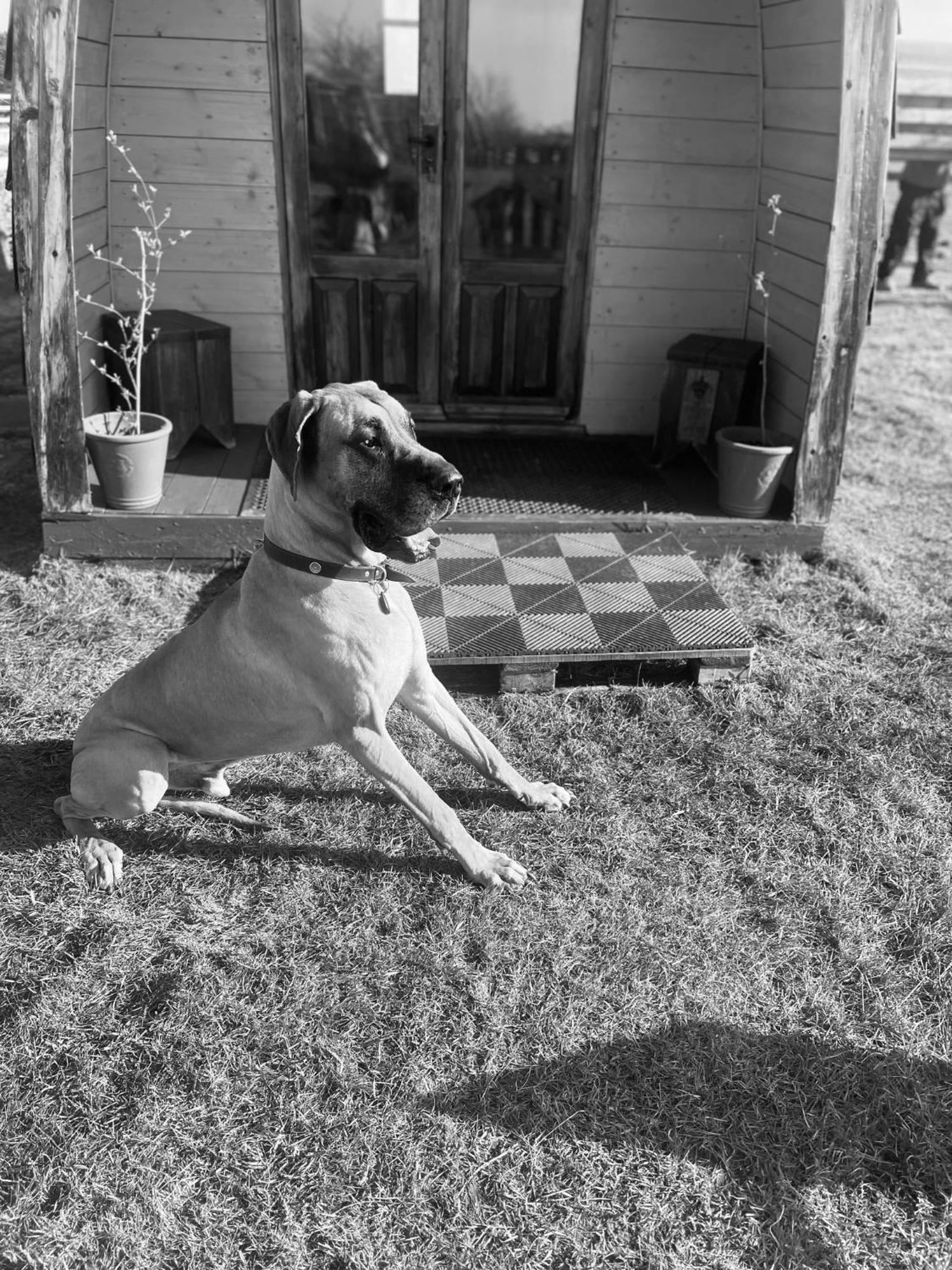 Skipbridge Farm Glamping *